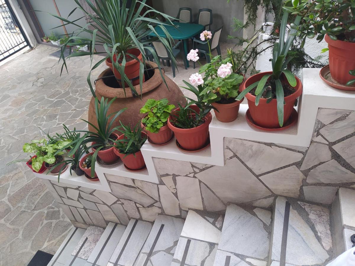 Каламанди Asenovgrad Bagian luar foto